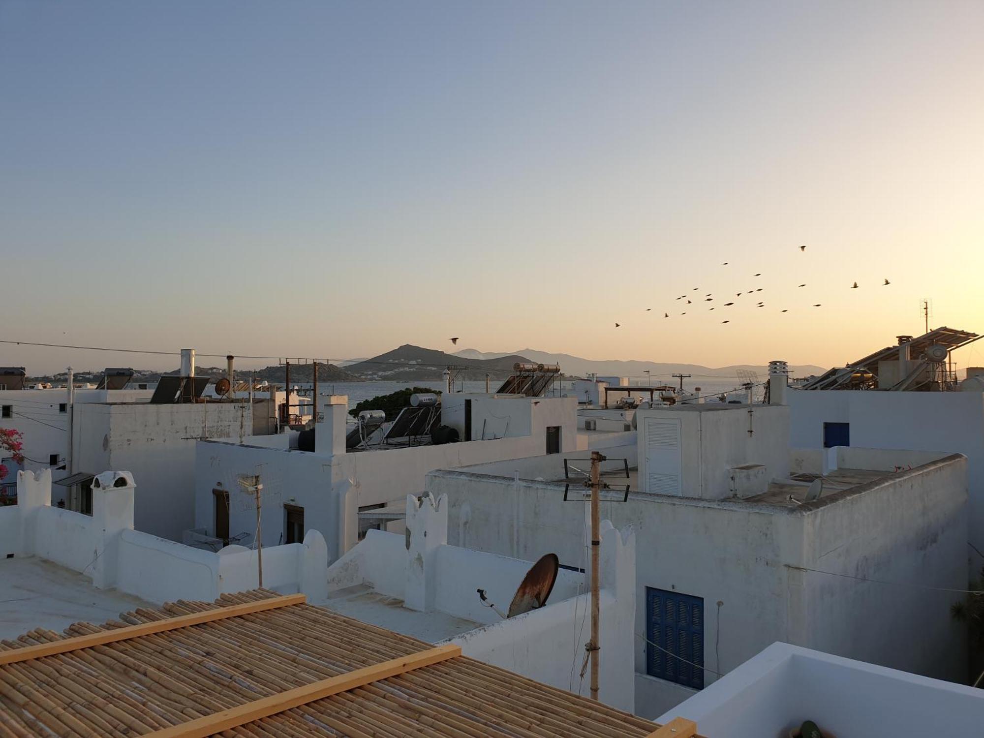 My Island Homes And Residence Naxos City Zimmer foto